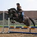 Horse Riding Lessons