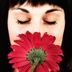 Say it with iNflowers!
